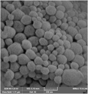 Co-delivery of Dual Toll-Like Receptor Agonists and Antigen in Poly(Lactic-Co-Glycolic) Acid/Polyethylenimine Cationic Hybrid Nanoparticles Promote Efficient In Vivo Immune Responses